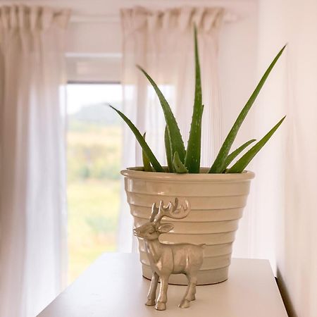 Ferienwohnung Eifelglueck Kruchten ภายนอก รูปภาพ