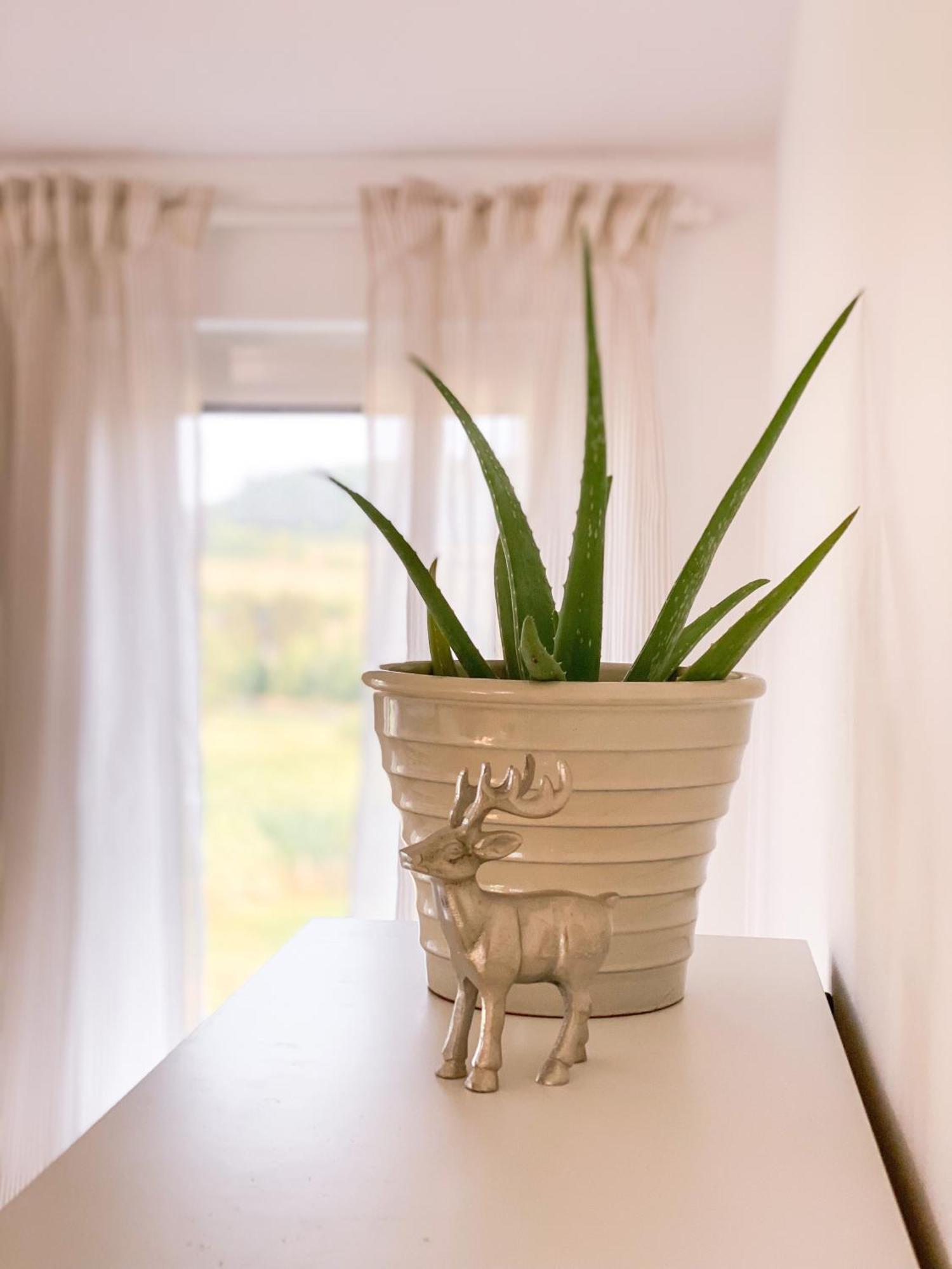 Ferienwohnung Eifelglueck Kruchten ภายนอก รูปภาพ